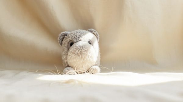 Meilleures peluches lestées pour lutter contre l'anxiété